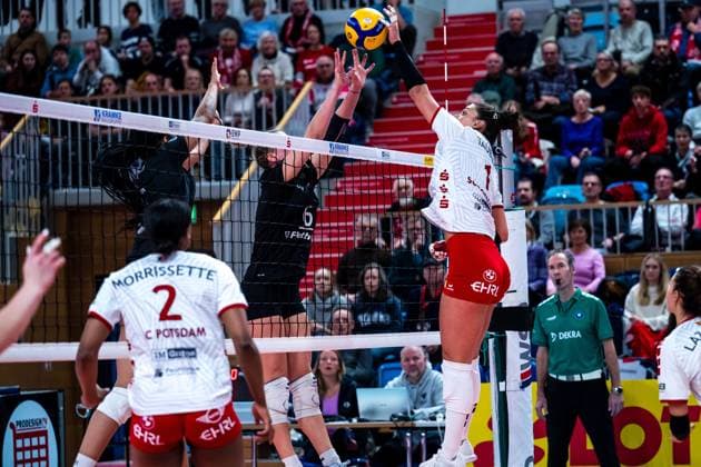 VBL Volleyball Bundesliga SC Potsdam Rote Raben Vilsbiburg 26 11 2023 VBL Volleyball Bundesliga SC Potsdam Rote Raben Vilsbiburg 26 11 2023 Copyright: xBEAUTIFULxSPORTS NicolxMarschallx