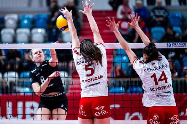VBL Volleyball Bundesliga SC Potsdam Rote Raben Vilsbiburg 26 11 2023 VBL Volleyball Bundesliga SC Potsdam Rote Raben Vilsbiburg 26 11 2023 Copyright: xBEAUTIFULxSPORTS NicolxMarschallx