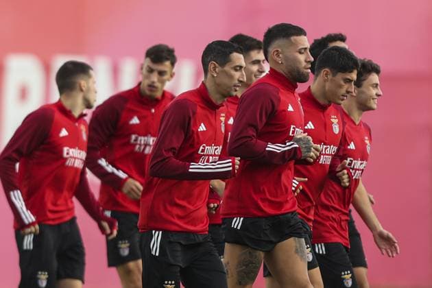 Football, CL, Benfica Lisbon training