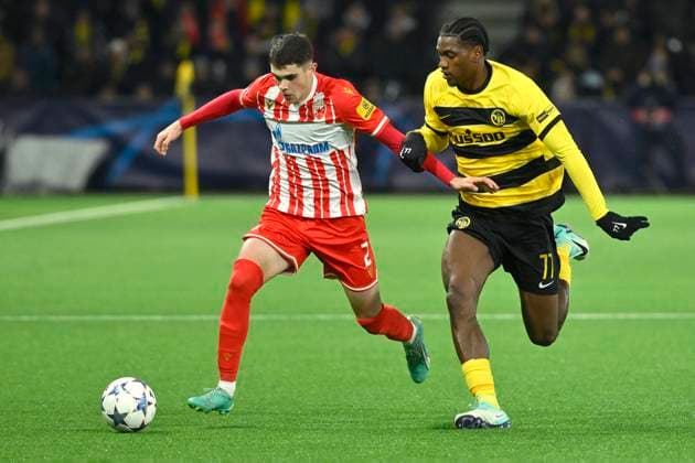 Kosta Nedeljkovic, FK, re Joel Monteiro, YB, BSC Young Boys FK Red Star Belgrade, Champions League, Football, 28 11 2023