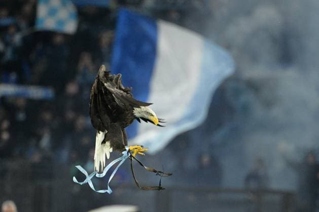 Sport Themen der Woche KW48 UEFA Champions League football match - SS Lazio vs Celtic FC Olimpia eagles during the UEFA Champions League 2023-2024 football match between SS Lazio and Celtic FC at the Olympic Stadium in Rome on November 28, 2023. Rome Italy  Copyright: xIPAxSport ABACAx