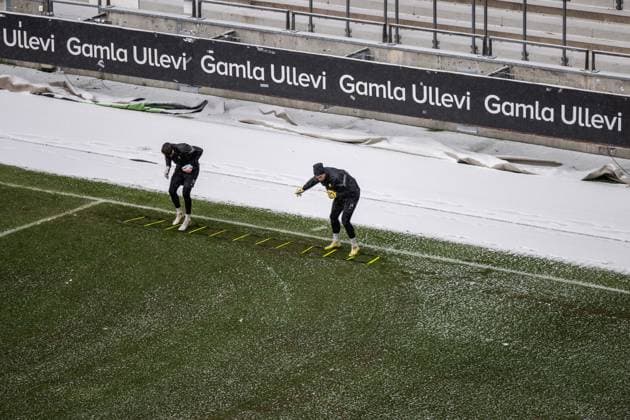 231129 Goalkeeper Sebastian Banozic and goalkeeper Peter Abrahamsson during a training session with Häcken on November 29, 2023 in Gothenburg Photo Mathias Bergeld BILDBYRAN code MB MB0784 fotboll football soccer fotball uefa europa league träning practice training häcken bbeng  Copyright: MATHIASxBERGELD BB231129MB021