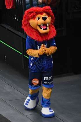 GER 1 VBL, SVG Lueneburg vs FT 1844 Freiburg, 04 12 2023, LKH Arena, Lueneburg, GER 1 VBL, SVG Lueneburg vs FT 1844 Freiburg, in the picture feature the mascot of SVG Ballue nordphotoxGmbH xWitke nph00002