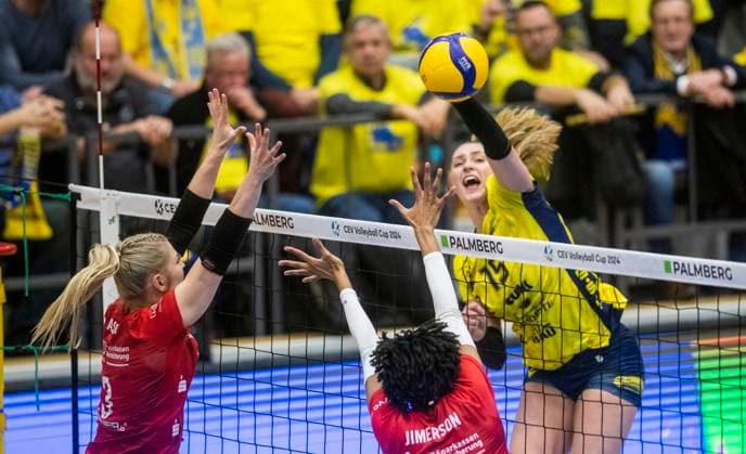 Volleyball, CEV Cup, SSC Palmberg - Dresdner SC