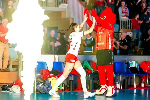 VBL Volleyball Bundesliga SC Potsdam Alianz MTV Stuttgart 9 12 2023 VBL Volleyball Bundesliga SC Potsdam Allianz MTV Stuttgart 9 12 2023 Copyright: xBEAUTIFULxSPORTS NicolxMarschallx