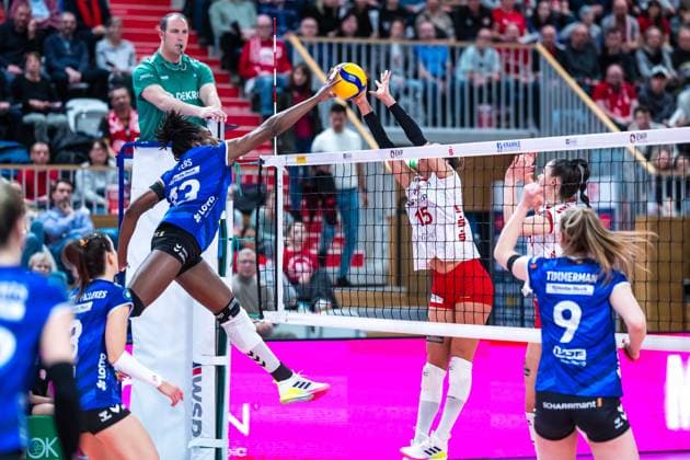 VBL Volleyball Bundesliga SC Potsdam Alianz MTV Stuttgart 9 12 2023 VBL Volleyball Bundesliga SC Potsdam Allianz MTV Stuttgart Krystal Rivers Allianz MTV Stuttgart 13 9 12 2023 Copyright: xBEAUTIFULxSPORTS NicolxMarschallx