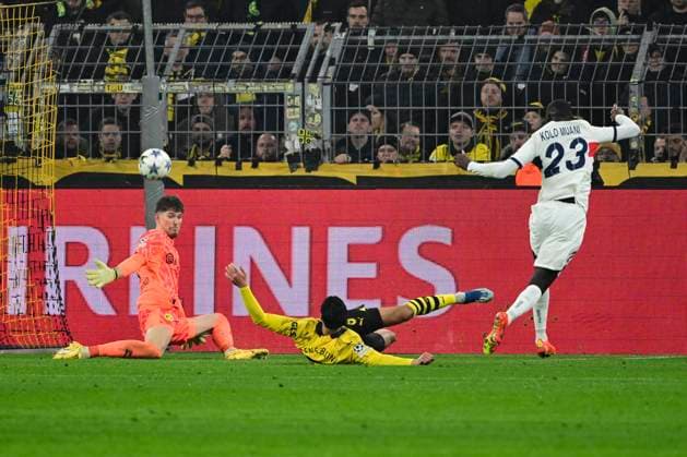 Randal Kolo Muani 23 Paris Saint Germain fails to score Gregor Kobel 1 Borussia Dortmund , Borussia Dortmund vs Paris Saint Germain, Football, Champions League, Group stage, 13 12 2023 Dortmund Nordrhein Westfalen Germany Copyright: xkolbert-press MarcxNiemeyerx