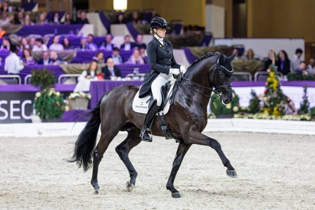 Bilder des Jahres 2023, Sport 12 Dezember Sport Themen der Woche KW50 FRANKFURT - 50 Jahre Internationales Festhallen Reitturnier 2023, FRANKFURT - 50 Jahre Internationales Festhallen Reitturnier 2023 RICHTER Leonie (GER), Lord Europe NÜRNBERGER BURG-POKAL der Dressurreiter 2023 Finale 2023 Nat. St-Georg-Special für 7-9jährige Pferde Frankfurt , Festhalle, Messe 16. December 2023 - *** FRANKFURT 50 Jahre Internationales Festhallen Reitturnier 2023, FRANKFURT 50 Jahre Internationales Festhallen Reitturnier 2023 RICHTER Leonie GER , Lord Europe NÜRNBERGER BURG POKAL der Dressurreiter 2023 Finale 2023 Nat St Georg Special für 7 9jährige Pferde Frankfurt , Festhalle, Messe 16 December 2023