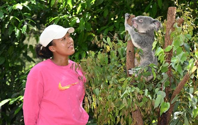 TENNIS NAOMI OSAKA BRISBANE INTERNATIONAL, Naomi Osaka is seen with Milton the Koala during a visit to Lone Pine Koala Sanctuary in Brisbane, Friday, December 29, 2023. Naomi Osaka will be playing in the Brisbane International tennis tournament after taking a long break from tennis after having her baby daughter Shai. ( NO ARCHIVING, EDITORIAL USE ONLY, NO USE IN BOOKS WITHOUT CONSENT BRISBANE QUEENSLAND AUSTRALIA  Copyright: xDARRENxENGLANDx 20231229001882853995
