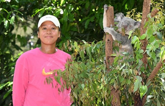 TENNIS NAOMI OSAKA BRISBANE INTERNATIONAL, Naomi Osaka is seen with Milton the Koala during a visit to Lone Pine Koala Sanctuary in Brisbane, Friday, December 29, 2023. Naomi Osaka will be playing in the Brisbane International tennis tournament after taking a long break from tennis after having her baby daughter Shai. ( NO ARCHIVING, EDITORIAL USE ONLY, NO USE IN BOOKS WITHOUT CONSENT BRISBANE QUEENSLAND AUSTRALIA  Copyright: xDARRENxENGLANDx 20231229001882858428