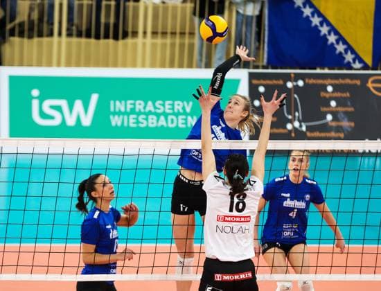 Volleyball CEV Challenge Cup VC Wiesbaden AC PAOK Thessaloniki 17 01 24,