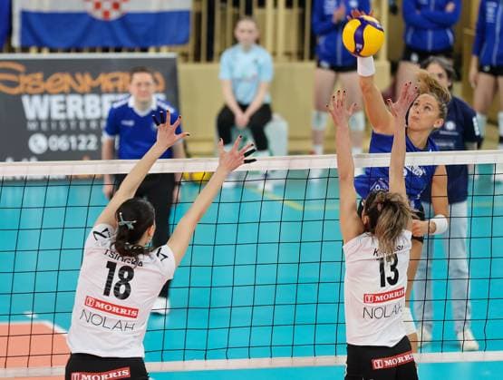 Volleyball CEV Challenge Cup VC Wiesbaden AC PAOK Thessaloniki 17 01 24,