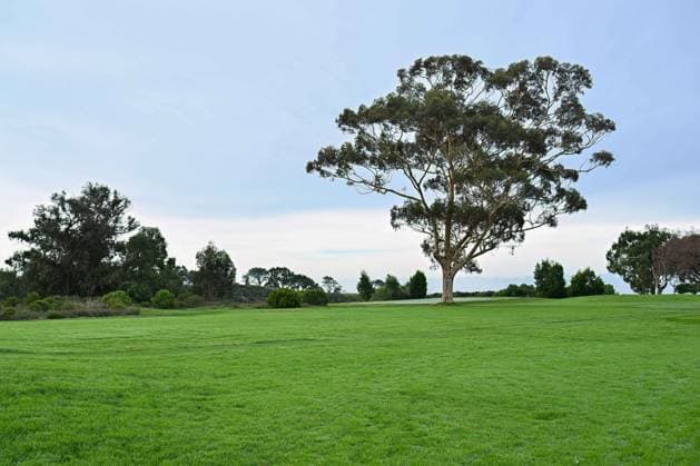 January 24, 2024: The fairway of the 14th hole before the first round of the Farmers Insurance Open at Torrey Pines North in San Diego, California. CSM San Diego USA - ZUMAc04_ 20240124_zma_c04_072 Copyright: xJustinxFinex