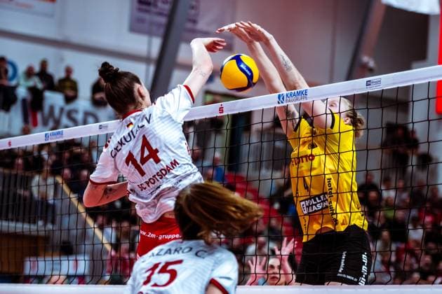 Volleyball, Women, SC Potsdam - VfB Suhl Lotto Thüringen