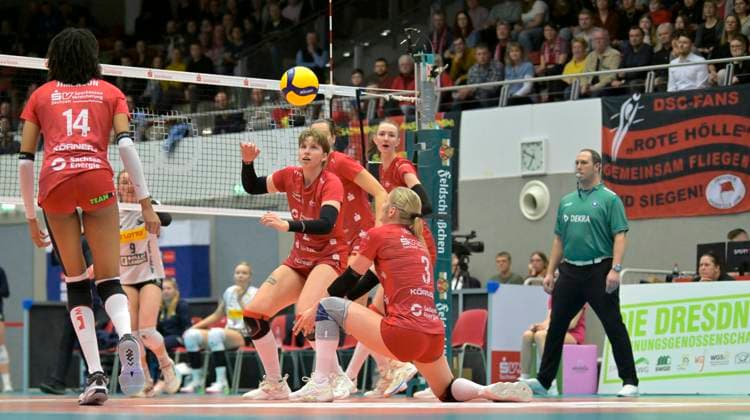 Volleyball, Women, Dresdner SC - VfB Suhl