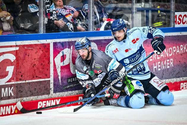 Sport Themen der Woche KW08 Sport Bilder des Tages Eric Cornel (Iserlohn Roosters, 18) im Zweikampf mit Nicolas Mattinen (Straining Tigers, 52) GER, Iserlohn Roosters vs. Straubing Tigers, Eishockey, Penny-DEL, 48. Spieltag, Spielzeit 2023 2024, 22.02.2024, GER, Iserlohn Roosters vs. Straubing Tigers, Eishockey, Penny-DEL, 48. Spieltag, Spielzeit 2023 2024, 22.02.2024 Iserlohn *** Eric Cornel Iserlohn Roosters, 18 in duel with Nicolas Mattinen Straining Tigers, 52 GER, Iserlohn Roosters vs Straubing Tigers, Ice Hockey, Penny DEL, 48 Matchday, Season 2023 2024, 22 02 2024, GER, Iserlohn Roosters vs Straubing Tigers, Ice Hockey, Penny DEL, 48 Matchday, Season 2023 2024, 22 02 2024 Iserlohn Copyright: xJonasxBrockmann Eibner-Pressefotx EP_JBN