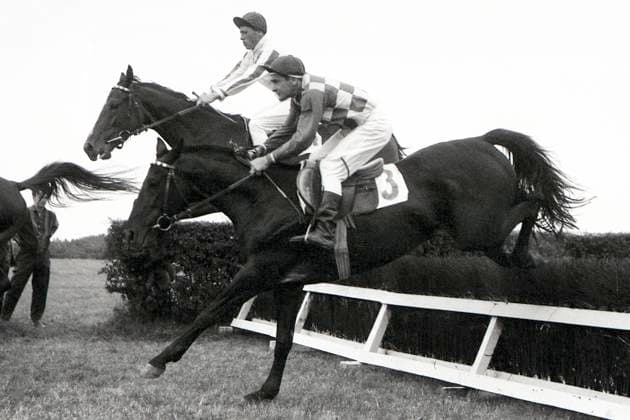 08.07.1964, Gotha, Bezirk Erfurt, DDR - Sym (Nr. 3) mit Helmut Boden und Helmstedt mit Lutz Meier. Galopprennbahn Gotha-Boxberg. (Pferd, Jockey, Sym, Boden, Helmstedt, Meier, Sprung, springen, Huerde, Huerdenrennen, Hindernisrennen, s w, schwarzweiss, historisch) 640708A005GOTHA.JPG *** 08 07 1964, Gotha, district Erfurt, GDR Sym Nr 3 with Helmut Boden and Helmstedt with Lutz Meier racecourse Gotha Boxberg horse, jockey, Sym, Boden, Helmstedt, Meier, jump, jumping, Huerde, Huerdenrennen, obstacle race, s w, black and white, historical 640708A005GOTHA JPG