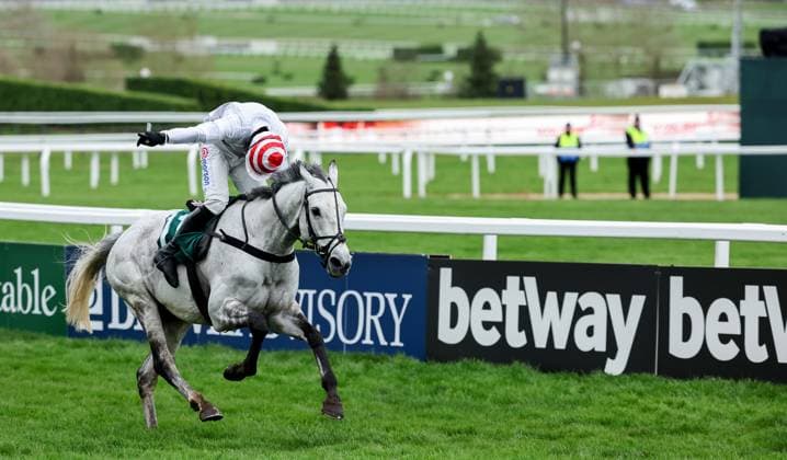 Sport Themen der Woche KW11 Sport Bilder des Tages 2024 Cheltenham Festival, Prestbury Park, Cheltenham, England 13 3 2024 Johnny Henderson Grand Annual Challenge Cup Handicap Chase Harry Skelton on Unexpected Party comes home to win Harry Skelton on Unexpected Party comes home to win 13 3 2024  Copyright: x INPHO TomxMaherx TOMM8414