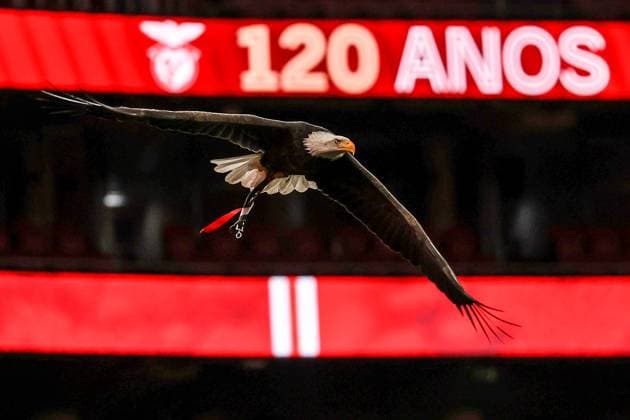 Lisbon, Portugal, March 19th 2024: Benfica Eagle during the UEFA Women?s Champions League game between SL Benfica v Olympique Lyonnais at Estadio da Luz in Lisbon, Portugal (Joao Bravo SPP) Copyright: xJoaoxBravo SPPx spp-en-JoBr-JBF-0616