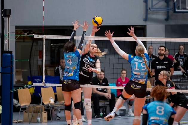 2 Bundesliga Women Pro SSC Freisen vs Schwarz Weiss Erfurt Freisen 21 04 2024 Tina De Groot 12 Schwarz Weiss Erfurt vs Doreen Werth 4 SSC Freisen and Alison Muldrow 19 SSC Freisen 2 Bundesliga Women Pro SSC Freisen vs Schwarz Weiss Erfurt Bruchwaldhalle Freisen 21 04 2024 Copyright: xBEAUTIFULxSPORTS Duehringx
