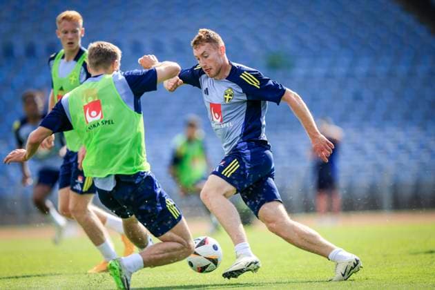 EURO 2024, Sweden national team training