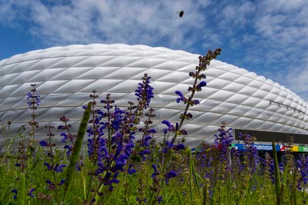 30 05 2024, European Football Championship 2024, The European Championship Stadium Munich Football Arena, this is the name of the Allianz Arena Munich during the European Championship, the original name has already been removed from the facade Flowers bloom on the esplanade