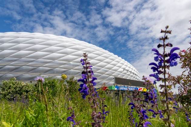 30 05 2024, European Football Championship 2024, The European Championship Stadium Munich Football Arena, this is the name of the Allianz Arena Munich during the European Championship, the original name has already been removed from the facade Flowers bloom on the esplanade