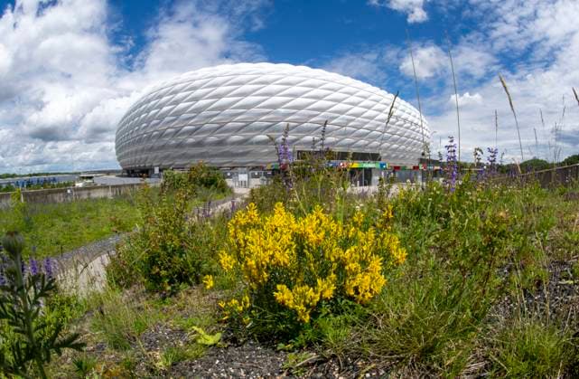30 05 2024, European Football Championship 2024, The European Championship Stadium Munich Football Arena, this is the name of the Allianz Arena Munich during the European Championship, the original name has already been removed from the facade Flowers bloom on the esplanade