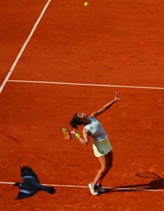Jasmine Paolini in semi final action French Open Tennis, Day 12, Tennis, Roland Garros, Paris, France - 06 June 2024  Copyright: xJavierxGarcia Shutterstockx 14521936an
