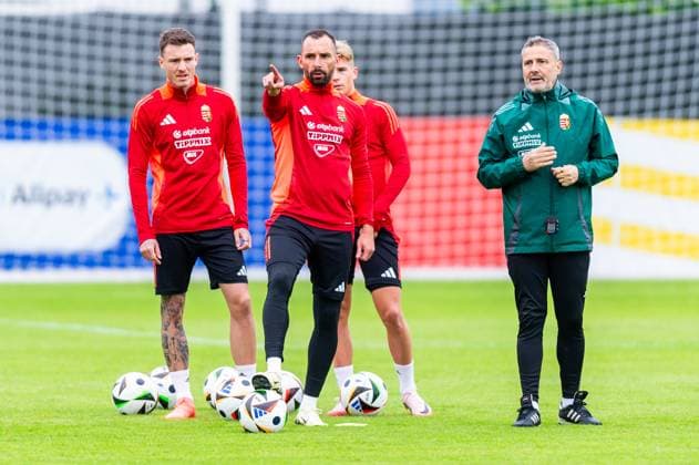 EURO 2024, Hungarian national team, Training