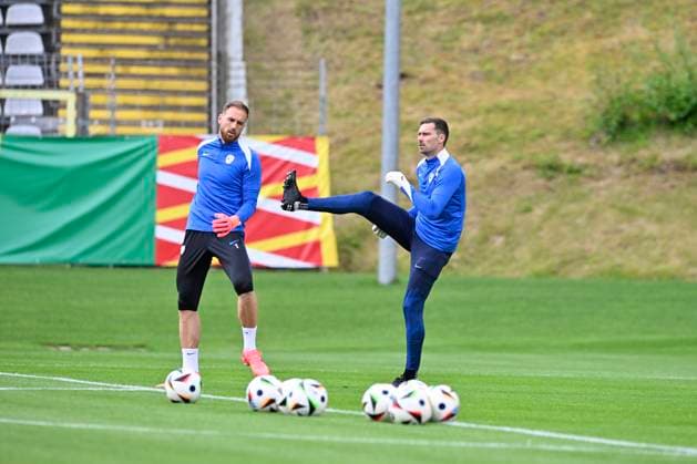 EURO 2024, Slovenia national team, training and press conference