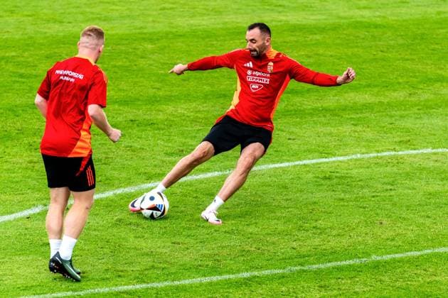 EURO 2024, Hungarian national team, Training