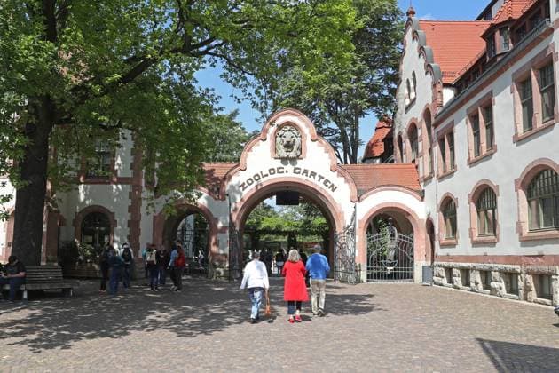UEFA EURO 2024 Seal Oracle at Leipzig Zoo, 13 06 24 Main entrance to Leipzig Zoo, entrance portal Seal Oracle at Leipzig Zoo before the opening match between Germany and Scotland, 13 06 24 Copyright: xBEAUTIFULxSPORTS JanxKaeferx