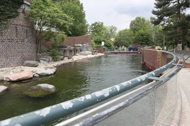 UEFA EURO 2024 Seal Oracle at Leipzig Zoo, 13 06 24 The seal enclosure at Leipzig Zoo Seal Oracle at Leipzig Zoo before the opening match between Germany and Scotland, 13 06 24 Copyright: xBEAUTIFULxSPORTS JanxKaeferx