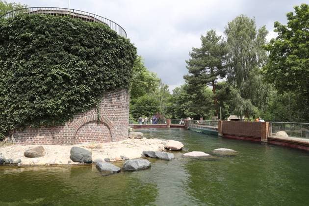 UEFA EURO 2024 Seal Oracle at Leipzig Zoo, 13 06 24 The seal enclosure at Leipzig Zoo Seal Oracle at Leipzig Zoo before the opening match between Germany and Scotland, 13 06 24 Copyright: xBEAUTIFULxSPORTS JanxKaeferx