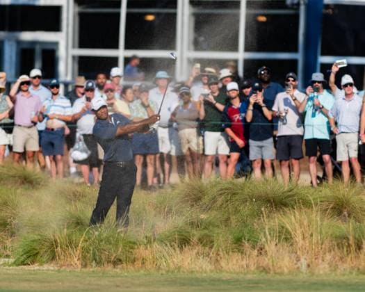 June 14, 2024, Pinehurst, North Carolina, USA: Tiger Woods of Jupiter, Florida, plays his second shot from the natural area along the 18th fairway during Friday s second round for the 124th U.S. Open, June 14, 2024, at Pinehurst Resort & Country Club (Course No. 2) in Pinehurst, North Carolina. Pinehurst USA - ZUMAh97_ 20240614_fap_h97_006 Copyright: xTimothyxL.xHalex