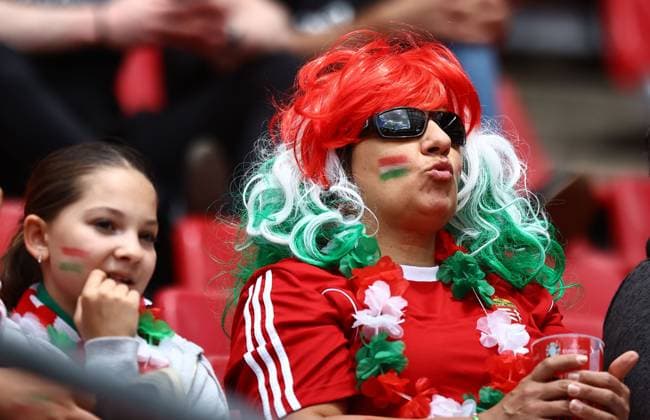 Hungary fans look on ahead of kick off Hungary v Switzerland, UEFA European Championship, EM, Europameisterschaft 2024, Group A, Football, Cologne Stadium, Cologne, Germany, 15 Jun 2024 EDITORIAL USE ONLY No use with unauthorised audio, video, data, fixture lists, club league logos or live services. Online in-match use limited to 120 images, no video emulation. No use in betting, games or single club league player publications.  Copyright: xMichaelxZemanek Shutterstockx 14539265f