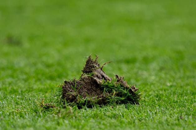 240617 Grass during the UEFA Euro 2024 Football Championship match between Belgium and Slovakia on June 17, 2024 in Frankfurt Photo Mathias Bergeld BILDBYRAN kod MB MB0937 fotboll football soccer fotbolls em europamästerskap em uefa euro uefa european football championship euro 2024 belgien belgium slovakien slovakia bbeng genre  Copyright: MATHIASxBERGELD BB240617MB056