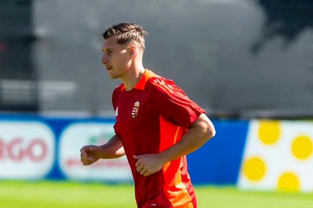 Final training session in Weiler before the match in Stuttgart against Germany with Willi Orban 6, Hungary Copyright: xx