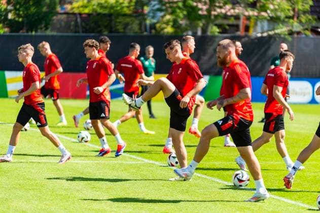 EURO 2024, Hungarian national team, Training
