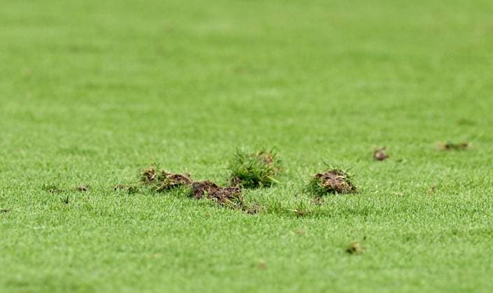 20 06 2024, xscotx, European Football Championship 2024, Denmark England, emspor, v l broken turf in the Frankfurt Arena Deutsche Bank Park Hole Playing field Pieces of turf Pieces of turf Earth Field Field Green Green destroyed destroyed Broken Hole Holes Holes Frankfurt am Main