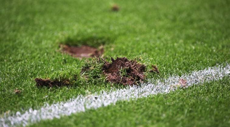 BAU 23 06 2024 Frankfurt European Football Championship 2024 Switzerland vs Germany, Feature Lawn in Frankfurt