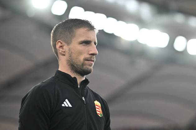 STUTTGART, GERMANY - JUNE 23: Barnabas Varga of Hungary looks on during the UEFA EURO, EM, Europameisterschaft,Fussball 2024 group stage match between Scotland and Hungary at Stuttgart Arena on June 23, 2024 in Stuttgart, G Scotland v Hungary: Group A - UEFA EURO 2024 Copyright: xSebastianxFrej MBxMediax