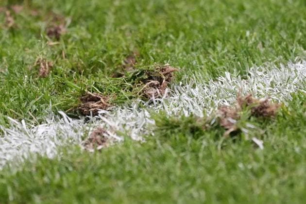 Rampant pitch in Frankfurt Frankfurt 23 06 2024 Germany vs Switzerland, EURO2024 M25, Group A, EM Arena Frankfurt