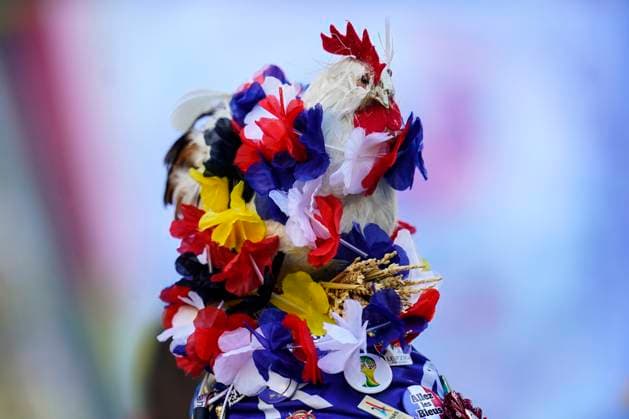 GER: France v Poland. UEFA EURO, EM, Europameisterschaft,Fussball 2024 French hen during the UEFA Euro 2024 match between France and Poland, Group D, date 3, played at BVB Stadium on June 25, 2024 in Dortmund, Germany. kpng Copyright: xSergioxRuizx xPRESSINPHOTOx PS_240625_FRA_POL_1167