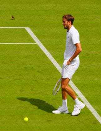 A bird on Centre Court as Daniil Medvedev practices Wimbledon Tennis Championships, Practice and Previews, The All England Lawn Tennis and Croquet Club, London, UK - 27 Jun 2024  Copyright: xJavierxGarcia Shutterstockx 14560174ap