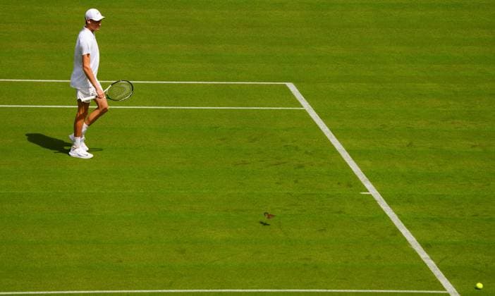 Jannik Sinner practices on Centre Court accompanied by a bird Wimbledon Tennis Championships, Practice and Previews, The All England Lawn Tennis and Croquet Club, London, UK - 27 Jun 2024  Copyright: xJavierxGarcia Shutterstockx 14560174cu