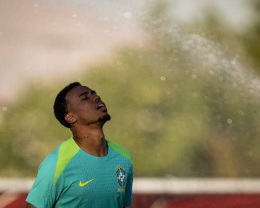 Football, Copa America, Brazil national team, Training