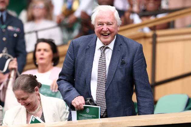 Tennis, Wimbledon, Celebrity guests