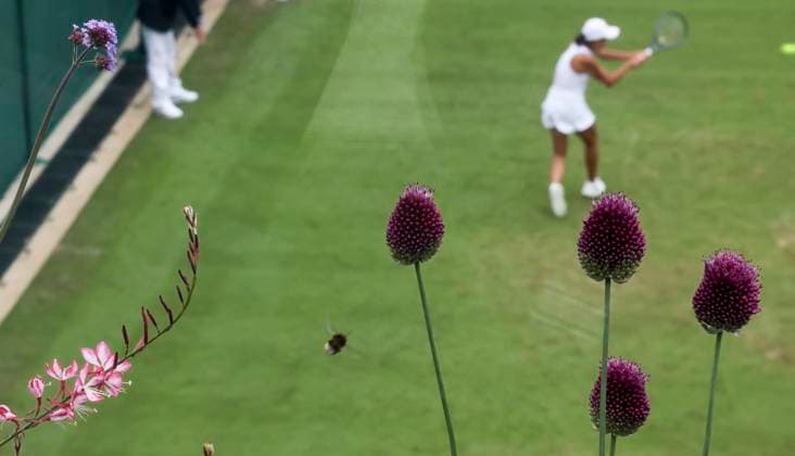 (240701) -- LONDON, July 1, 2024 -- Zhang Shuai competes during the women s singles first round match between Zhang Shuai of China and Daria Kasatkina of Russia at Wimbledon tennis Championship in London, Britain, on July 1, 2024. ) (SP)BRITAIN-LONDON-TENNIS-WIMBLEDON-DAY 1 HanxYan 